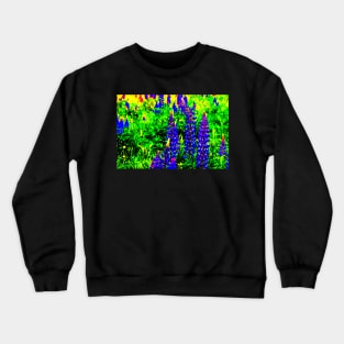 Texas Bluebonnet Wildflowers Crewneck Sweatshirt